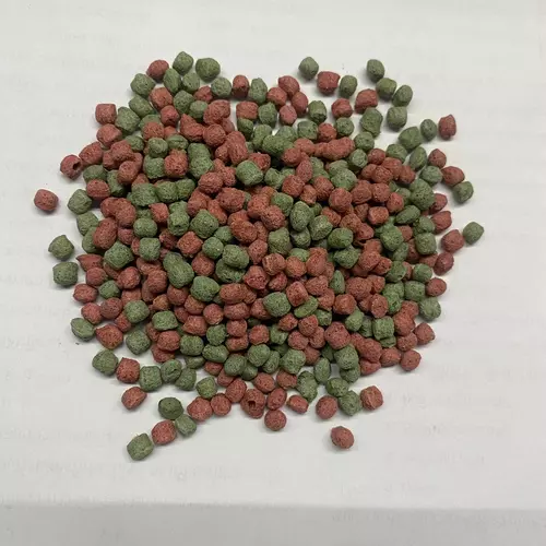 237902