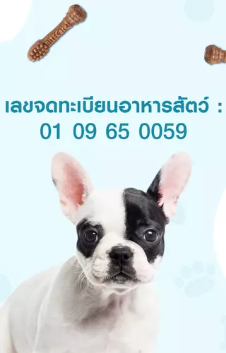 55663111