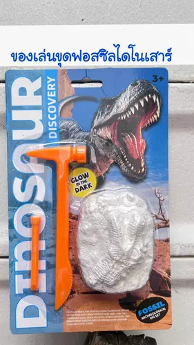85544