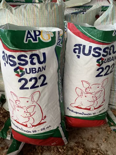 423840620