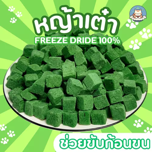 หญ้าแมวฟรีซดรายหั่นเต๋า ผสมอกไก่ไข่แดง ขนมแมวออร์แกนิก ของทานเล่นเสริมสุขภาพ แมวชอบ อาหารแมวแท้
