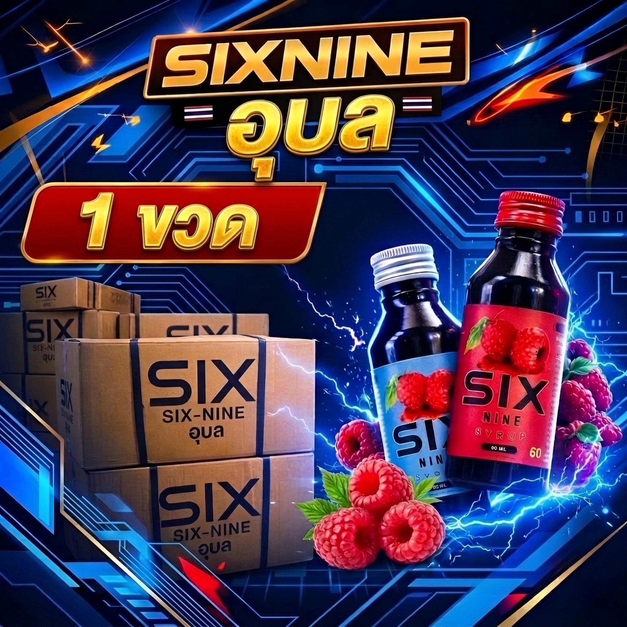 [Set 1ขวด] Sixnine69 ไซรัปพรีเมี่ยม หวาน หอม กลิ่นราสเบอร์รี่ ขนาด60ML