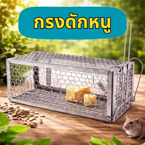 [พร้อมส่ง!] 🐀✨ กรงดักหนู ขนาด 29x12.5x12 ซม. 🪤 กรงดักหนูสปริงดักไว โครงเหล็กแข็งแรง ทนทาน กลไกแม่นยำ ใช้งานง่าย ปลอดภัย