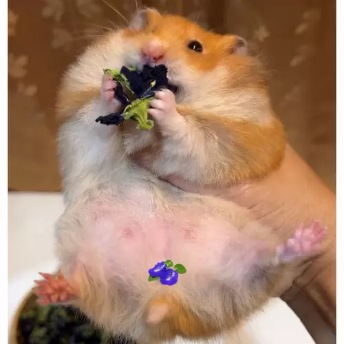 122640