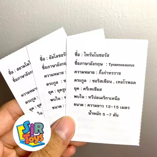 407576805