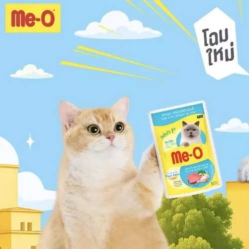 Me-o อาหารเปียกแมว