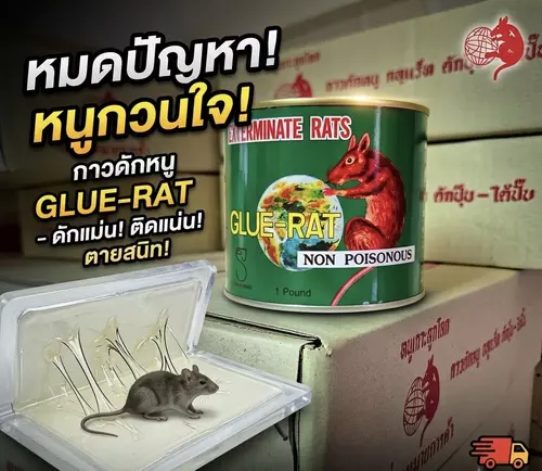 กาวดักหนู กลูแร๊ท (glue-rat) ขนาด 450 กรัม เหนียว แน่น หนึบ