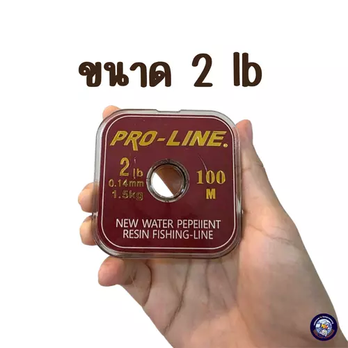 54614