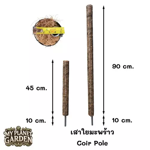24967