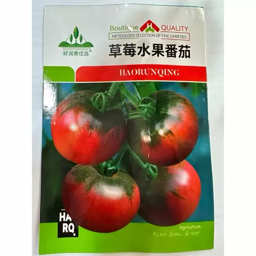 75552