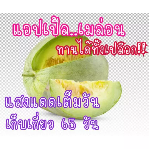 357865650