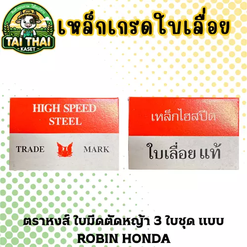 53993118