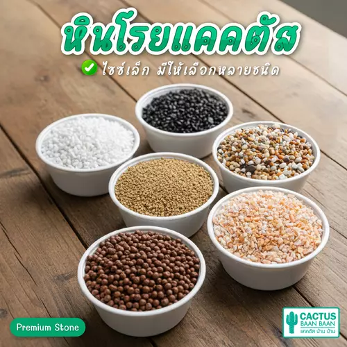 หินโรยหน้าแคคตัส หินเกล็ด กรวดแม่น้ำ หินกระบองเพชร (พร้อมส่ง)