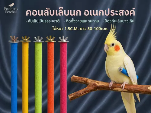 คอนลับเล็บนก คอนยืนนก คอนติดกรงนก คอนไม้