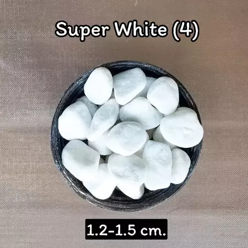 45303