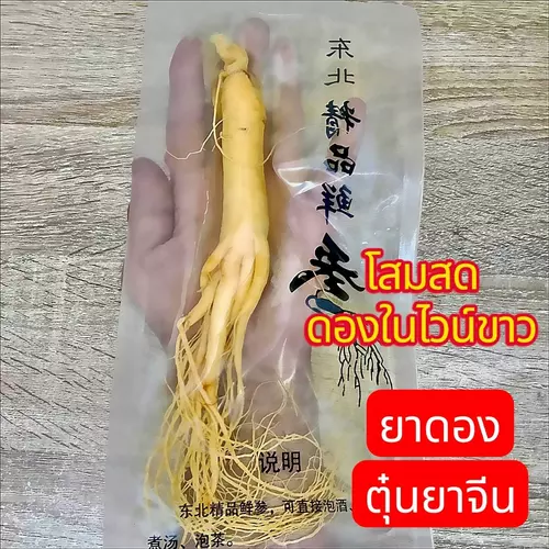 โสมจีน โสมขาวดองในไวน์ขาว สำหรับยาดอง เสือ 11 ตัว ดองน้ำผึ้ง ทำอาหาร ตุ๋นยาจีน บำรุงร่างกาย บำรุงสุขภาพ