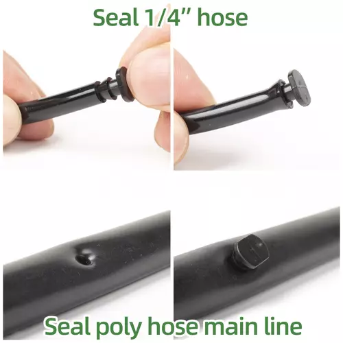53265300