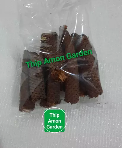 งวงตาล งวงตาลแห้ง งวงตาลตัวผู้ ขนาดน้ำหนัก 100 กรัม
