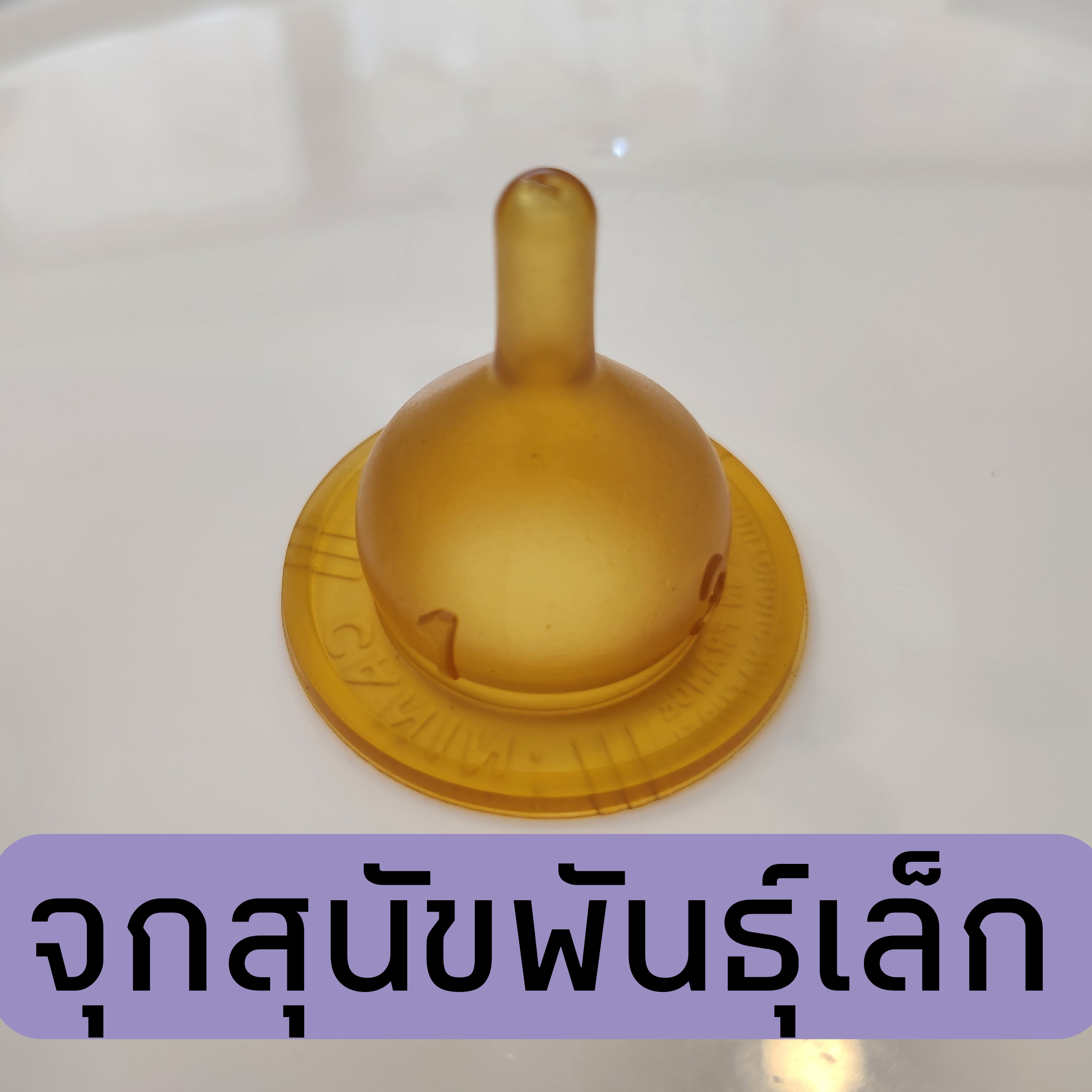 70362
