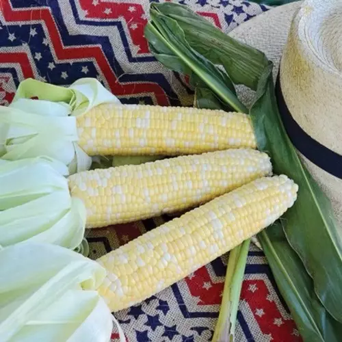 245543