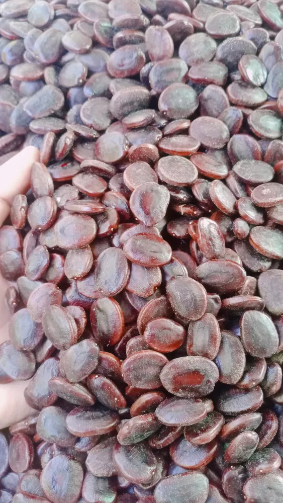 Nuntiyashop