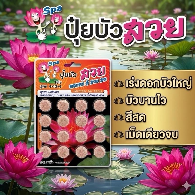 ปุ๋ยบัว เร่งดอกใหญ่ บานนาน สีสันสดใส กลีบหนา ไม่เน่าใบ สูตร 4-12-4 บรรจุ 16เม็ด