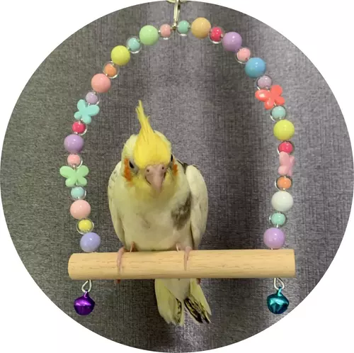 8723