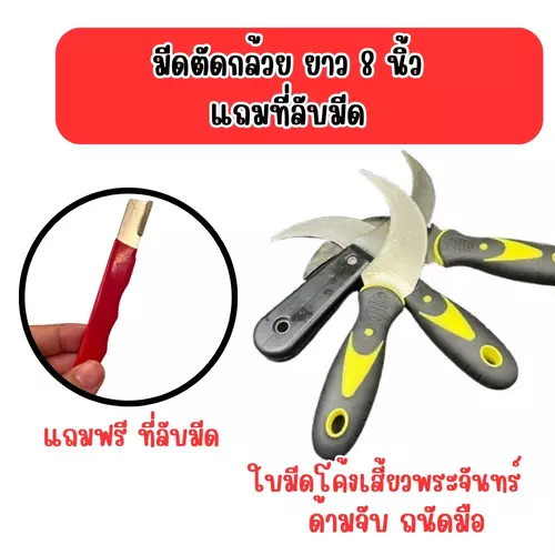 มีดตัดกล้วย ความยาว 8 นิ้ว แถมที่ลับมีด(คละสี)  ประกัน 1 เดือน มีดชักกล้วย สแตนเลส คม ด้ามยึดสกรูแน่น ไม่หลุด  ราคาถูก