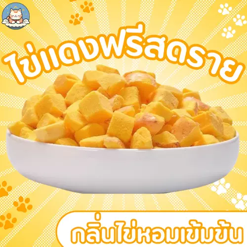 ไข่แดงฟรีซดราย ขนมแมว ขนมสุนัข ขนมสัตว์เลี้ยง อาหารสัตว์เลี้ยงฟรีซดราย ธรรมชาติ 100% โปรตีนสูง