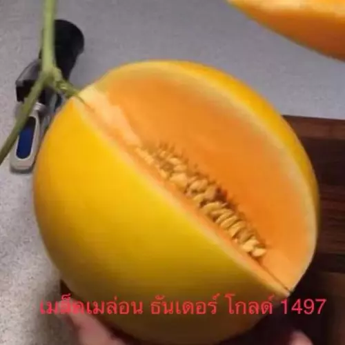 82314