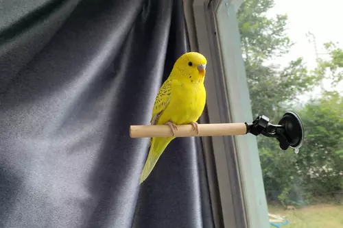 9368