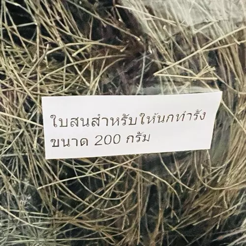 24319