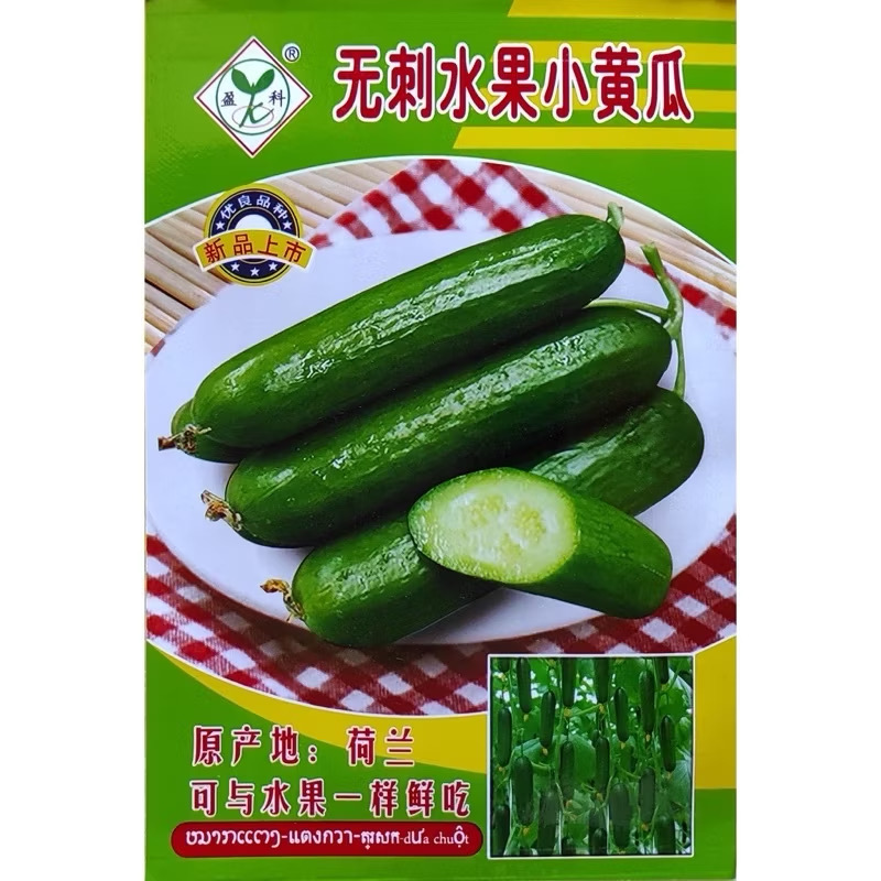 67205