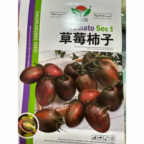 75549
