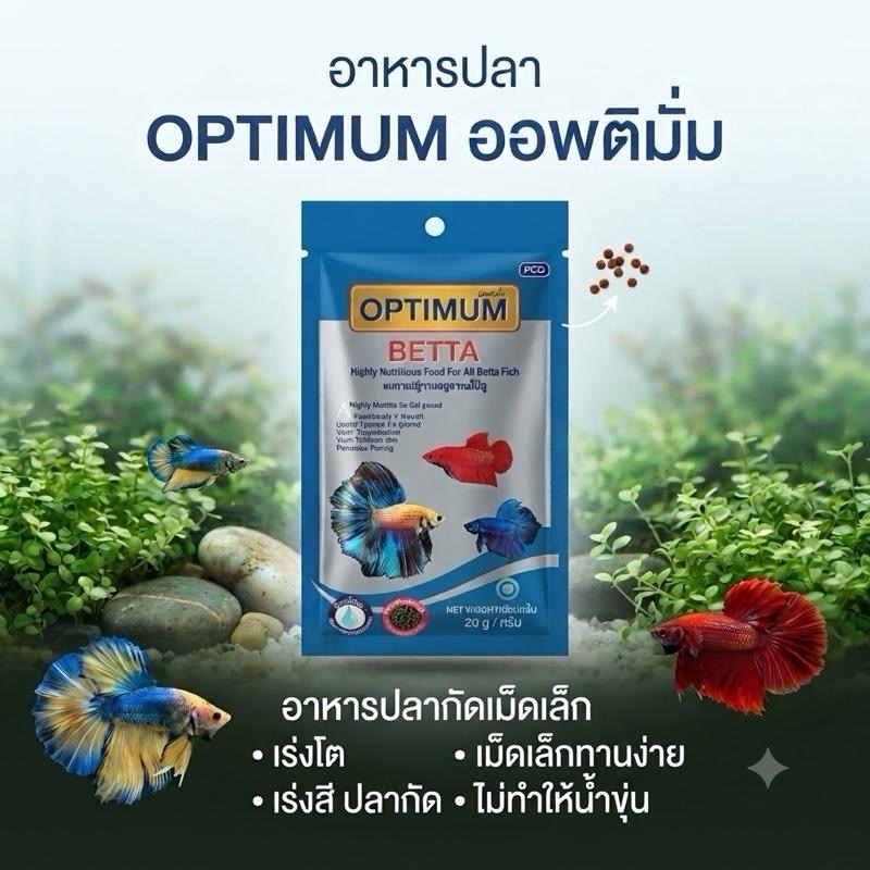 อาหารปลากัด OPTIMUM ออพติมั่ม เร่งโต เร่งสีสดใส ครีบหางสวย เม็ดจิ๋ว กินง่าย ไม่ทำให้น้ำขุ่น 20กรัม