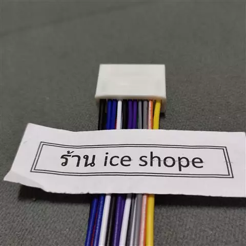54535576