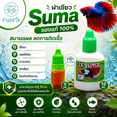 Suma ฝาเขียว สมานแผล ลดการติดเชื้อ