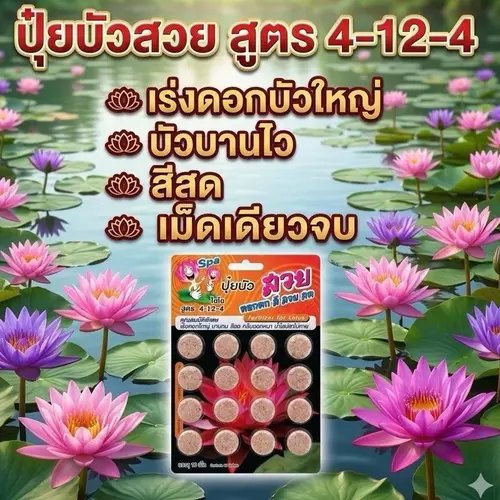 130380433