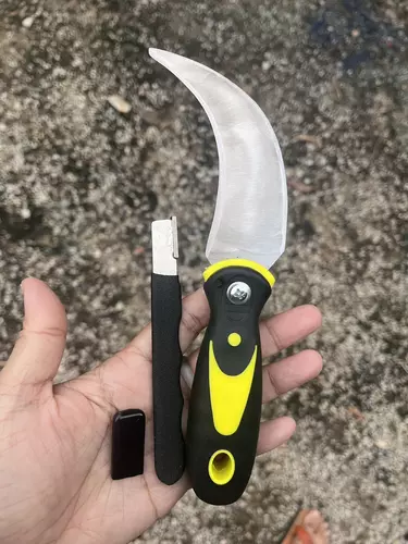 173903