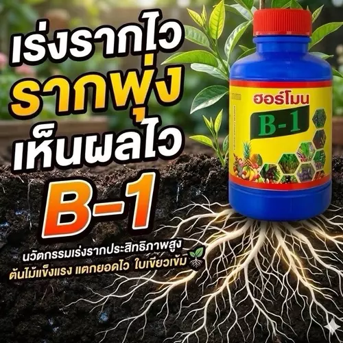 วิตามินบี1 เร่งรากงอก เร็วทันใจ ฟื้นฟูต้นไม้ ย้ายปลูกไม่ช็อก ทุกชนิดพืช เห็นผลไว 100cc