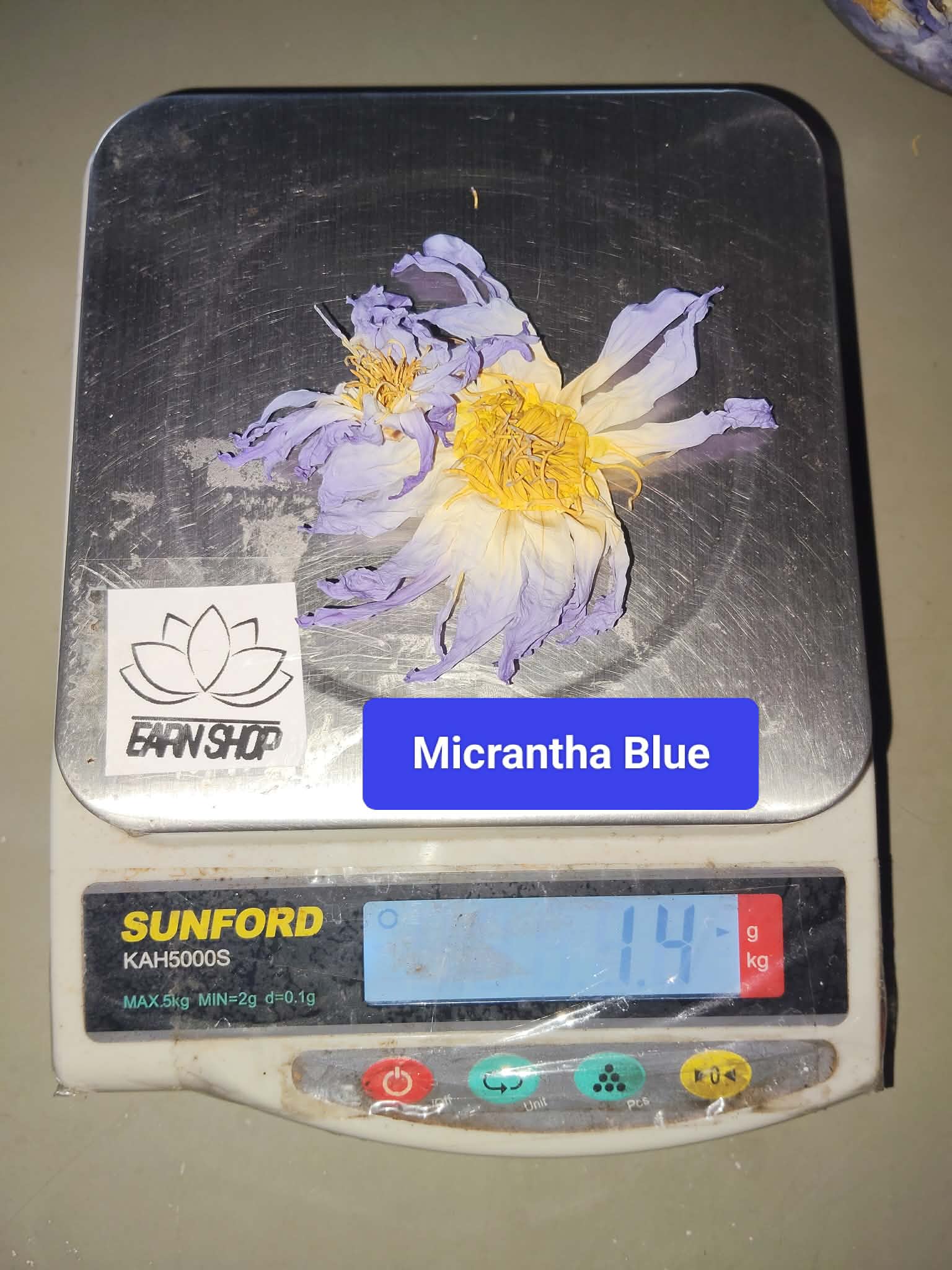 42181