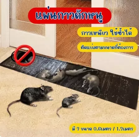 กาวดักหนู แผ่นกาวดักหนูสำเร็จรูป พร้อมถาด ที่ดักหนู ไม่มีกลิ่น หนูตายอยู่กับที่