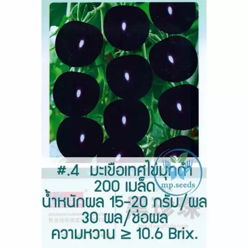 เมล็ด มะเขือเทศเชอรี่สีดำ  มะเขือเทศไข่มุกดำ Black Pearl Tomato จำนวน