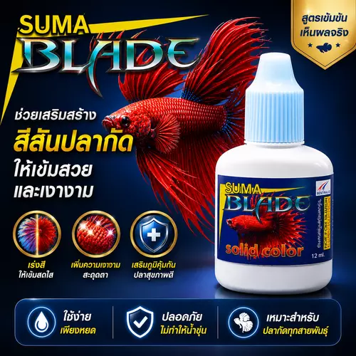 Suma blade ฝาฟ้าอ่อน สีปลากัดเข้มสวย เงางาม