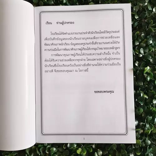 54633187