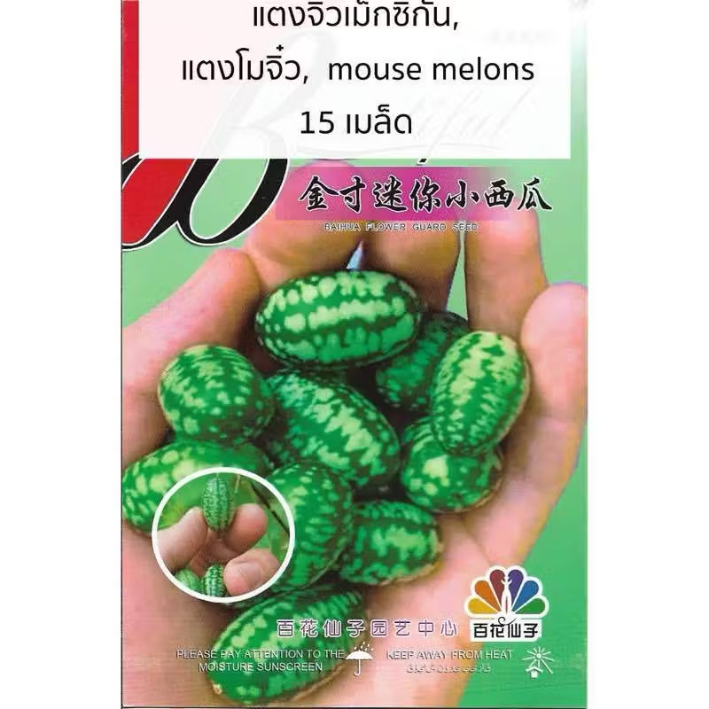 67210