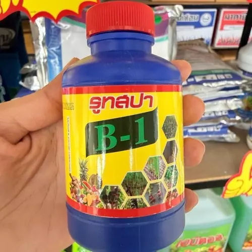 212495
