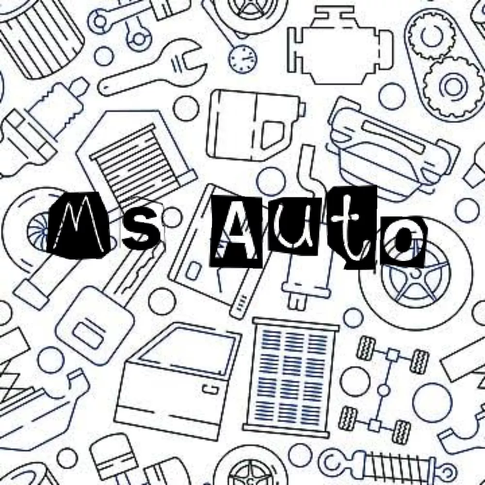 Ms auto
