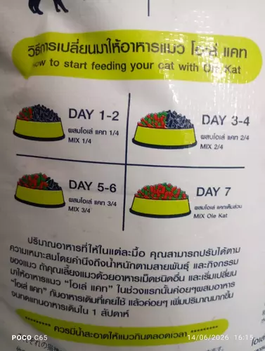 134272