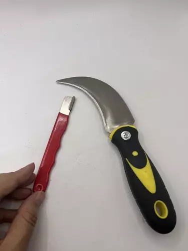 173905